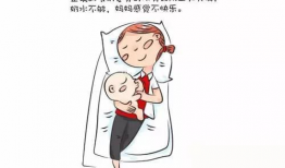 哺乳动漫,探寻治愈系哺乳动漫的魅力