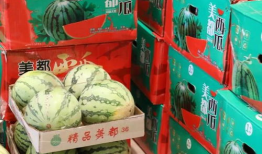 青县吃瓜最新事件爆料新闻,揭秘背后惊人真相